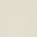 HT0037 var.18